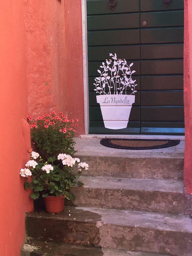La Nipitella Hotel Monte Marcello Kültér fotó